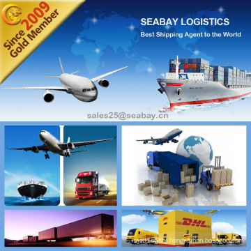 Shenzhen/Shanghai/Ningbo/Guangzhou/Tianjin/Qingdao Best Freight Forwarder to Germany